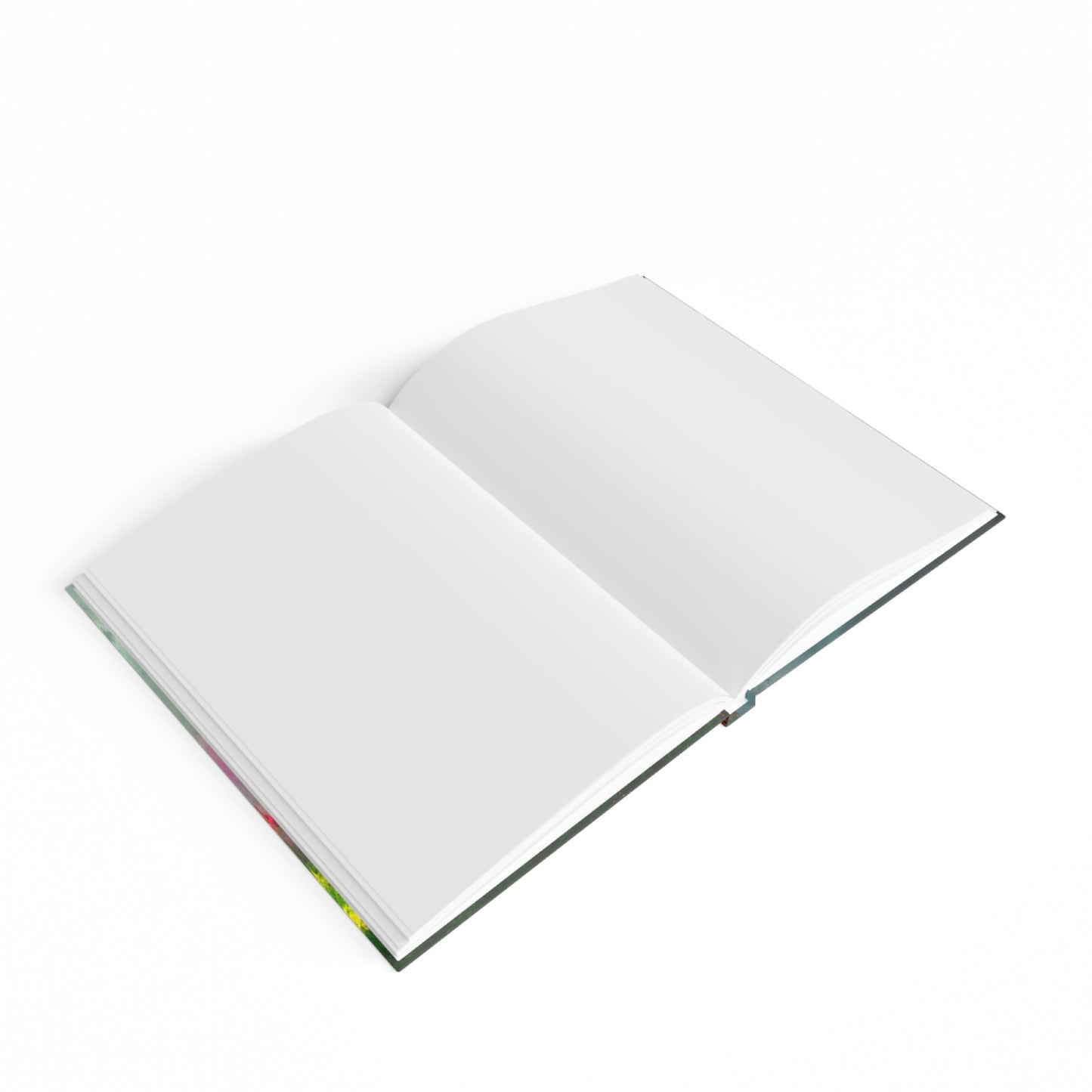 Dreamy_Field_Journal.exe