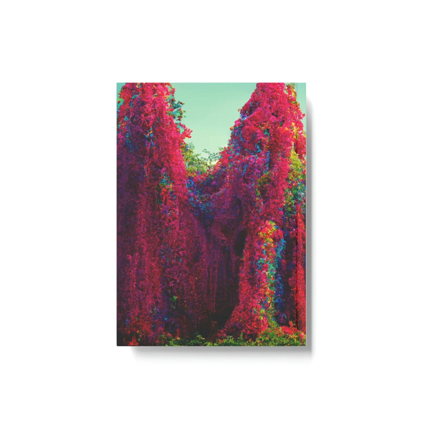 Rainbow_Mansion_Journal.exe